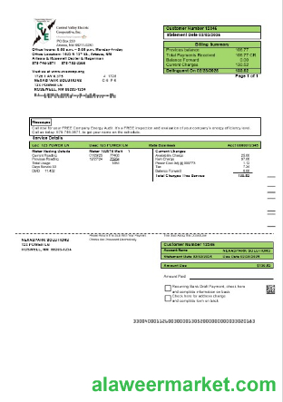 USA New Mexico electricity proof of address business utility bill template in Word and PDF formats
